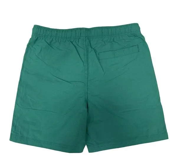 Santa Cruz Swimshort Classic Dot evergreen