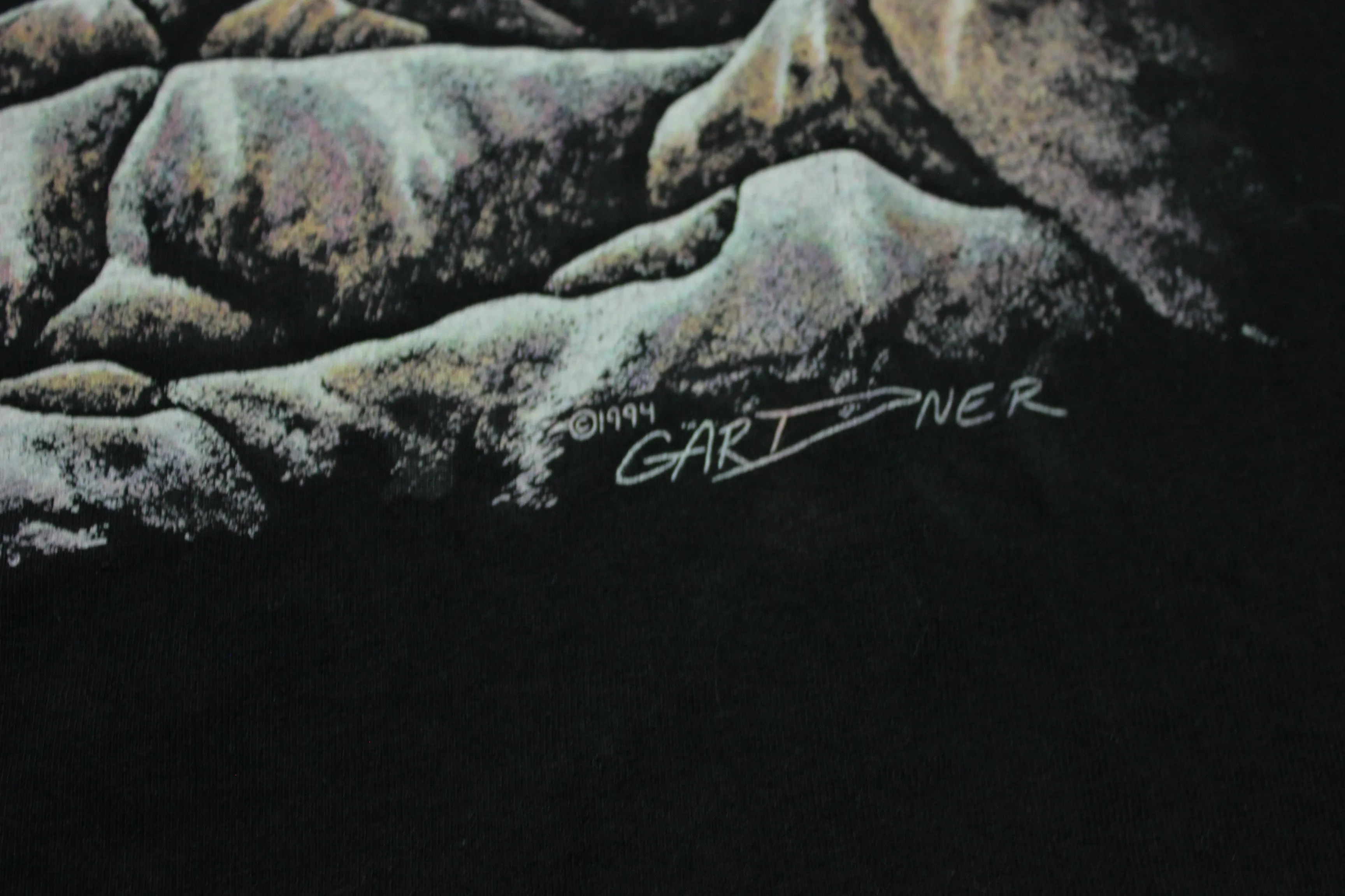 Stand Out Designs Vintage Wilderness Rainbow Trout Lake Gardner 1994 Art T-Shirt