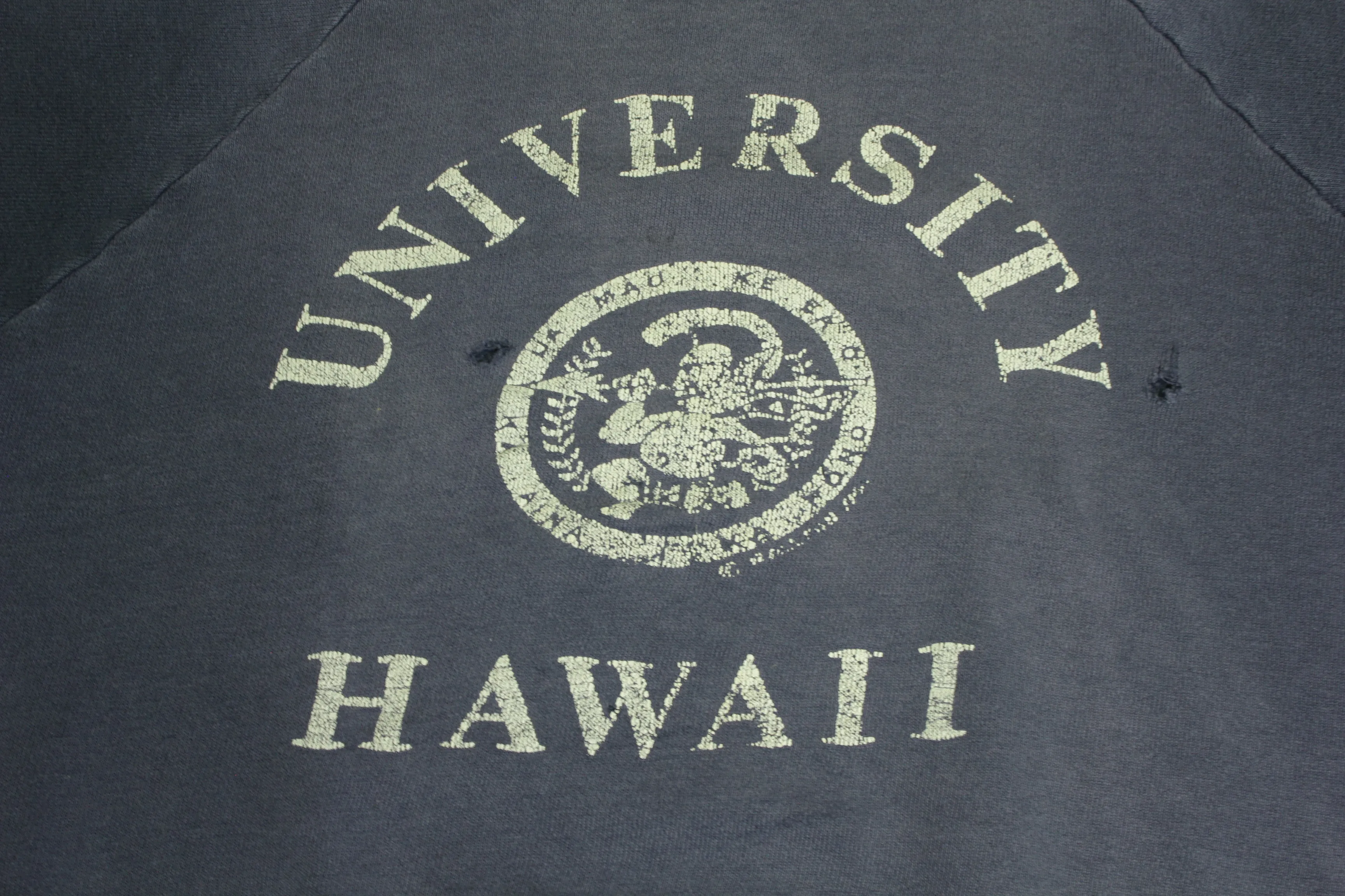 University of Hawaii Vintage 60's Short Banded Sleeve Crewneck Collegiate Sweatshirt